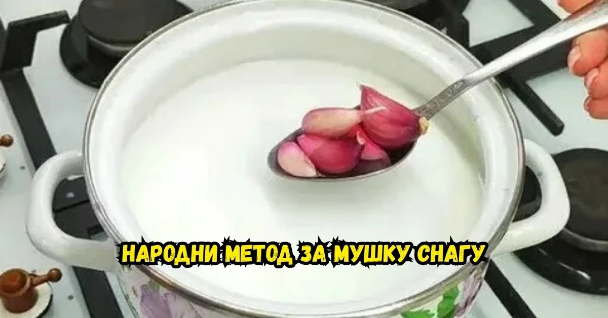 Др Светозар Кнежевић - Стручњак за исхрану