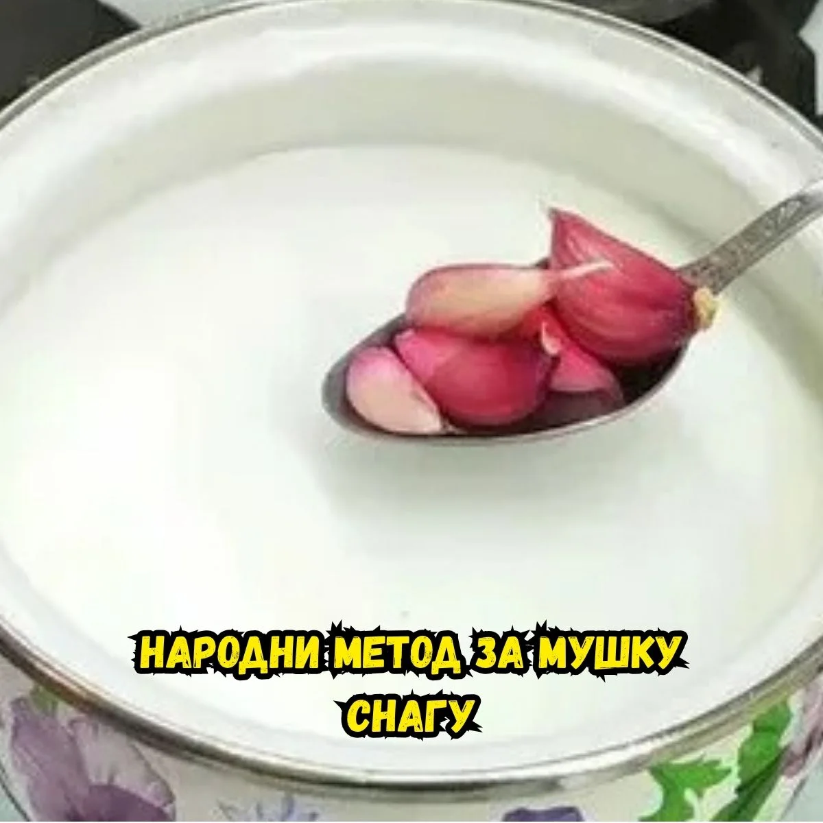Нина Симонић - Водитељка Садржаја