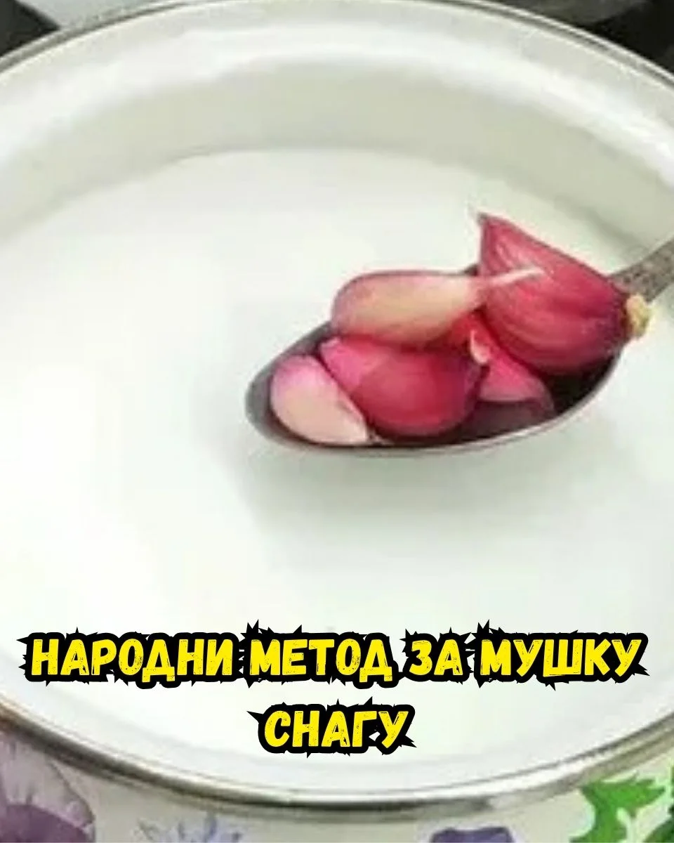 Препоручена студија